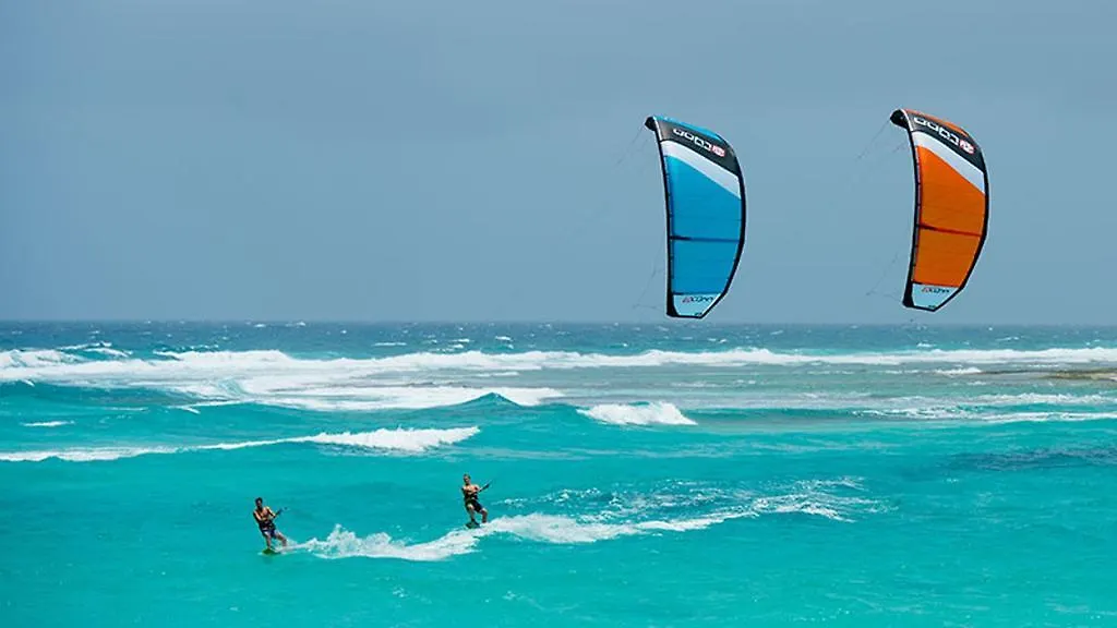 ** בית הארחה פאלם ביץ' Sandcastle Beach Apartments ארובה