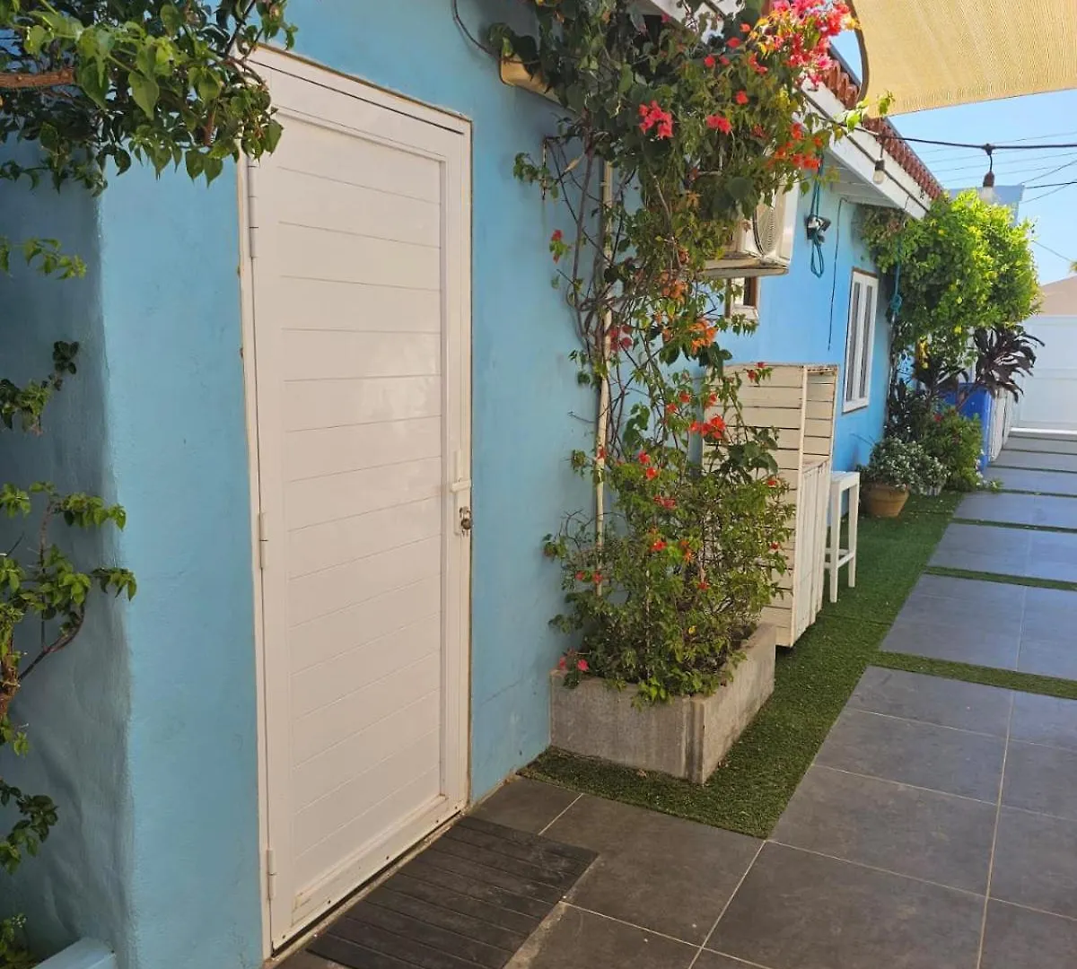 Πανσιόν Sandcastle Beach Apartments Παλμ Μπιτς