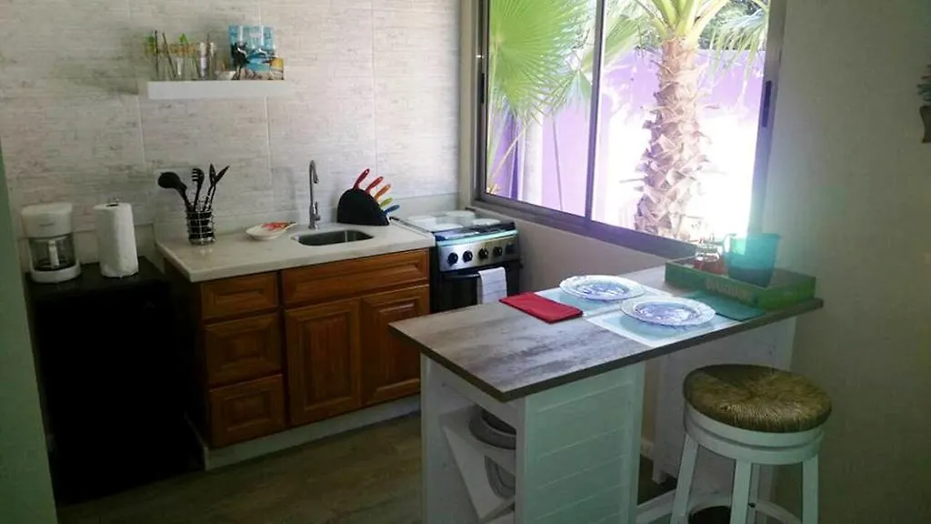 Sandcastle Beach Apartments Παλμ Μπιτς Πανσιόν